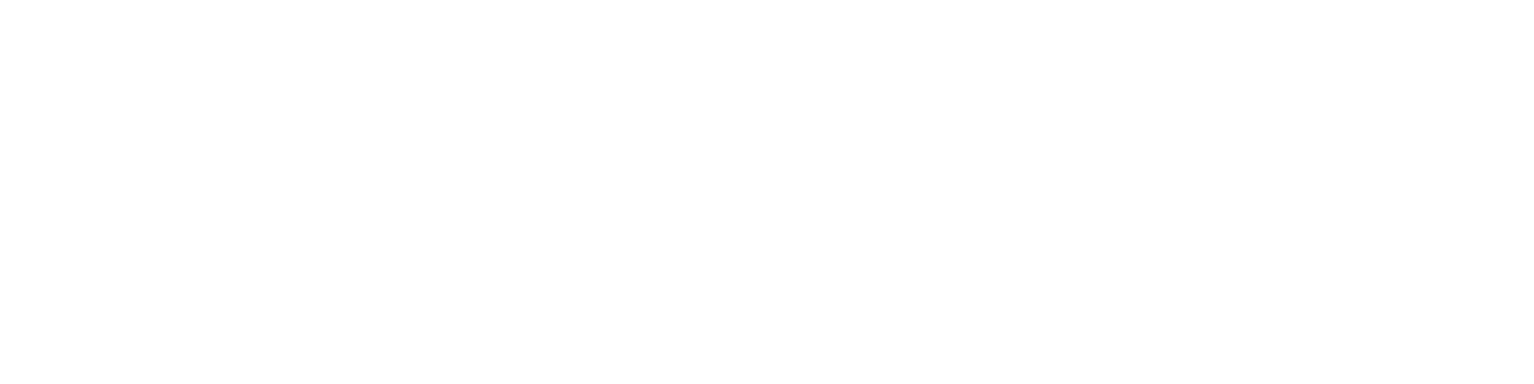 RKUSTIX Logo